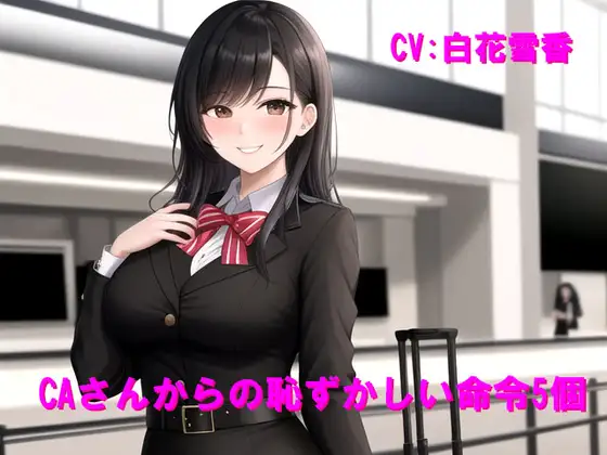 CAさんからの恥ずかしい命令5個